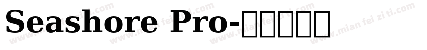 Seashore Pro字体转换